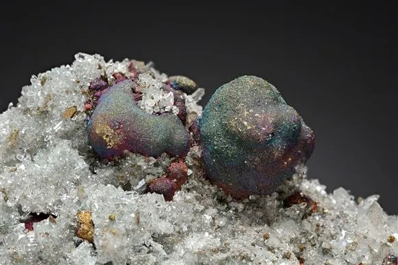 Bornite with Pyrite on Quartz image