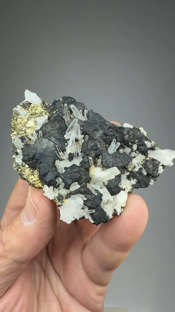 Bornite with Quartz, Pyrite image