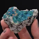 BOTALLACKITE with Connellite - image 2