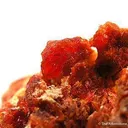 Botryogen, Copiapite, Butlerite and Parabutlerite - image 3