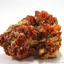 Botryogen, Copiapite, Butlerite and Parabutlerite - image 1