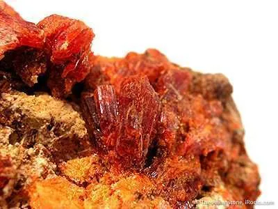 Botryogen, Copiapite, Butlerite and Parabutlerite - image 2