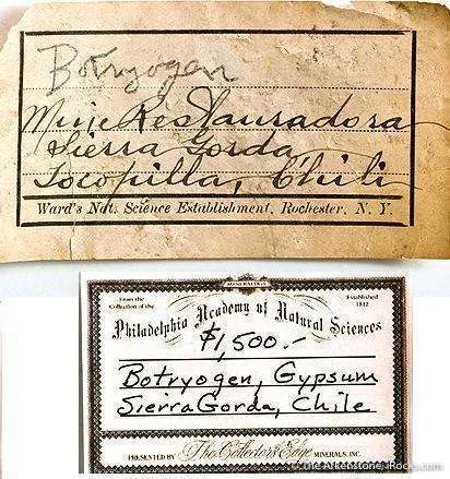 Botryogen Included in Gypsum - image 5