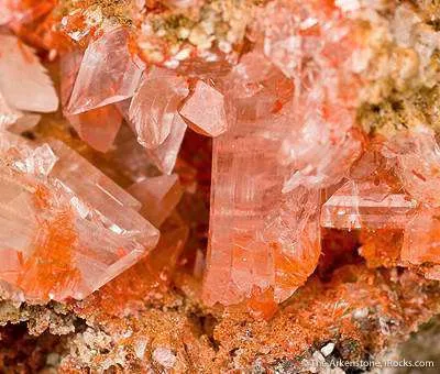 Botryogen Included in Gypsum - image 3