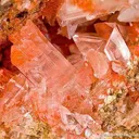 Botryogen Included in Gypsum - image 4