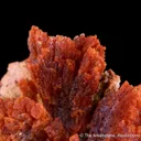 Botryogen with Copiapite - image 3