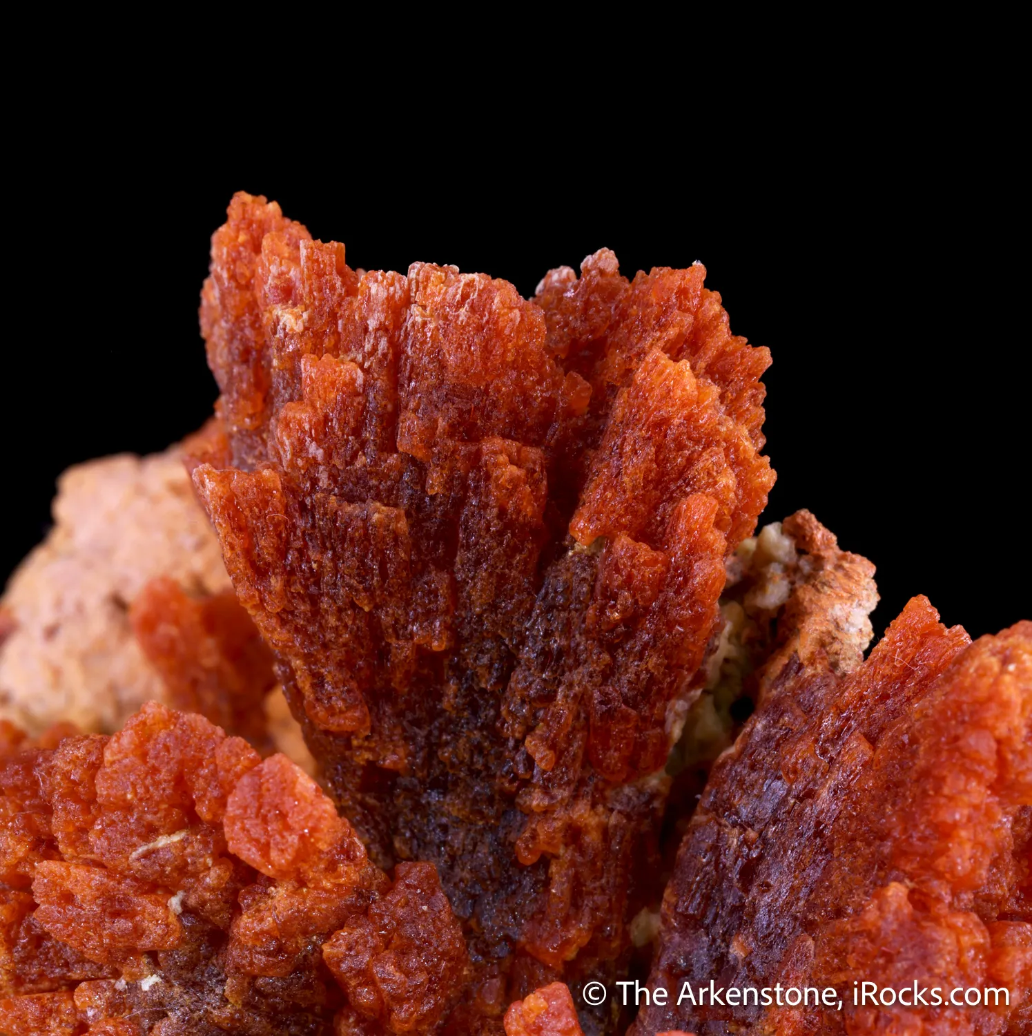 Botryogen with Copiapite - image 3