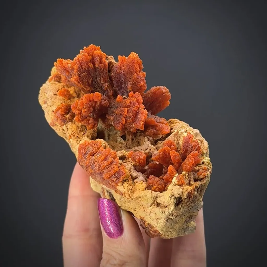 Botryogen with Copiapite