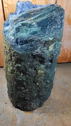 specimen video