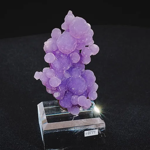 specimen video