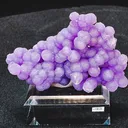 specimen video