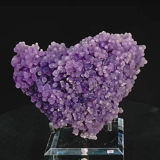 specimen video