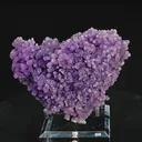 specimen video