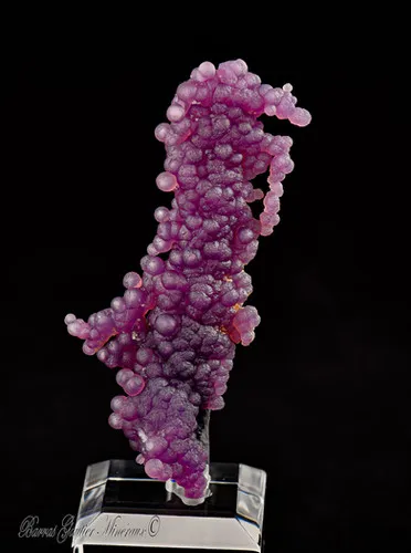 Botryoidal Amethyst image