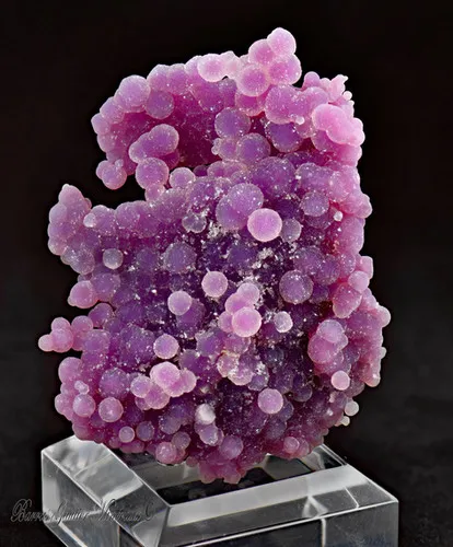 Botryoidal Amethyst image