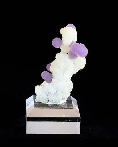 specimen video