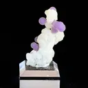 specimen video