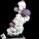 Botryoidal Amethyst on Prehnite - image 2