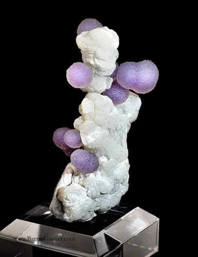 Botryoidal Amethyst on Prehnite image