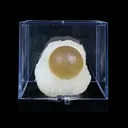 Botryoidal Fluorite on Quartz – Natural Mineral Specimen - image 5