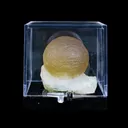 Botryoidal Fluorite on Quartz – Natural Mineral Specimen - image 4