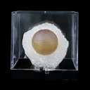 Botryoidal Fluorite on Quartz – Natural Mineral Specimen - image 4