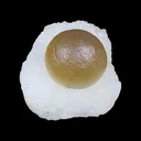 Botryoidal Fluorite on Quartz – Natural Mineral Specimen - image 1