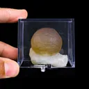 Botryoidal Fluorite on Quartz – Natural Mineral Specimen - image 5
