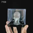 Botryoidal Fluorite on Quartz – Natural Mineral Specimen - image 2