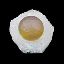 Botryoidal Fluorite on Quartz – Natural Mineral Specimen - image 1