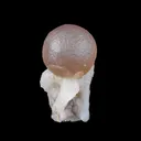 Botryoidal Fluorite on Quartz – Natural Mineral Specimen - image 1