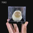 Botryoidal Fluorite on Quartz – Natural Mineral Specimen - image 2