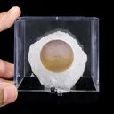 Botryoidal Fluorite on Quartz – Natural Mineral Specimen - image 5