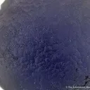 Botryoidal Fluorite "Purple Turtle" - image 2