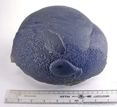 Botryoidal Fluorite "Purple Turtle" - image 2