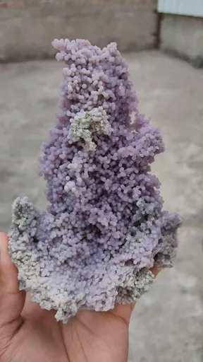 specimen video