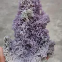 specimen video