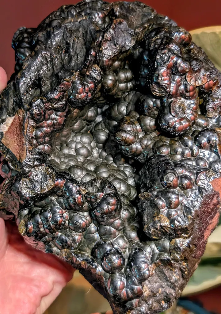 Botryoidal "Kidney Ore" Hematite, Michigan image