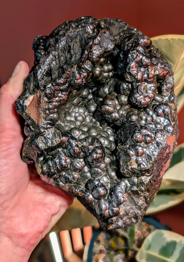 Botryoidal "Kidney Ore" Hematite, Michigan - image 2