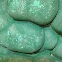 Botryoidal Malachite Specimen. - image 5