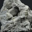 Botryoidal Native Arsenic and Dyscrasite With Lollingite Druse - image 4
