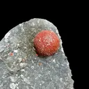 Botryoidal Red Fluorite on Quartz Plate – Indian Mineral Specimen from Nashik - image 5