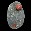 Botryoidal Red Fluorite on Quartz Plate – Indian Mineral Specimen from Nashik - image 1