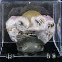 Botryoidal Yelllow Fluorite on Amethyst – Natural Mineral Specimen - image 6