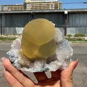 Botryoidal Yellow Fluorite Cluster on Quartz Matrix – Indian Mineral Specimen from Nashik - image 2