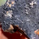 specimen video