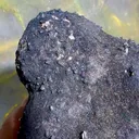 specimen video