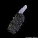 Boulangerite ps. Bournonite, with Chalcopyrite and Quartz - image 5