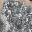 specimen video