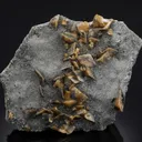 Boulangerite with Siderite - image 1